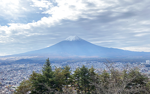 木箱入り富士山染め | スタイレムギフトコレクション | STYLEM GIFT